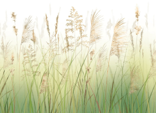 Papier peint fleur des champs de blé dégradé, XXL, tendance