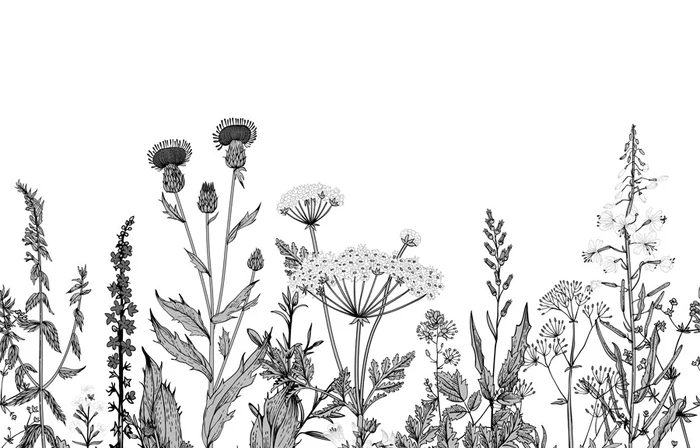 Papier peint botanique folk noir et blanc - Muralconcept