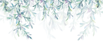 Papier peint Végétal & Scandinave style - Muralconcept