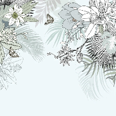 Papier peint wc tendance nature plante vert d'eau - Muralconcept