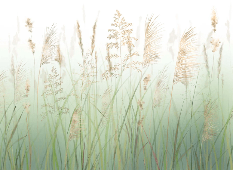Green wheat field flower wallpaper