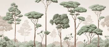 Light Breeze Pine Forest Wallpaper