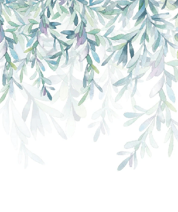 Papier peint Végétal & Scandinave style - Muralconcept