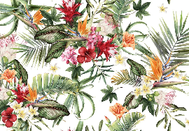 Papier peint tropical & Fleurs colorées - Muralconcept