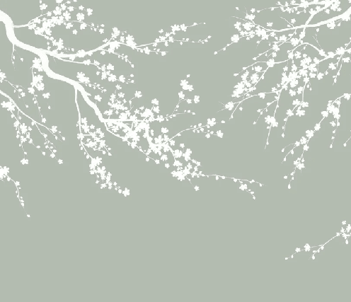 Papier peint panoramique Sakura vert sauge - Muralconcept