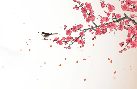 Zen harmony sakura wallpaper