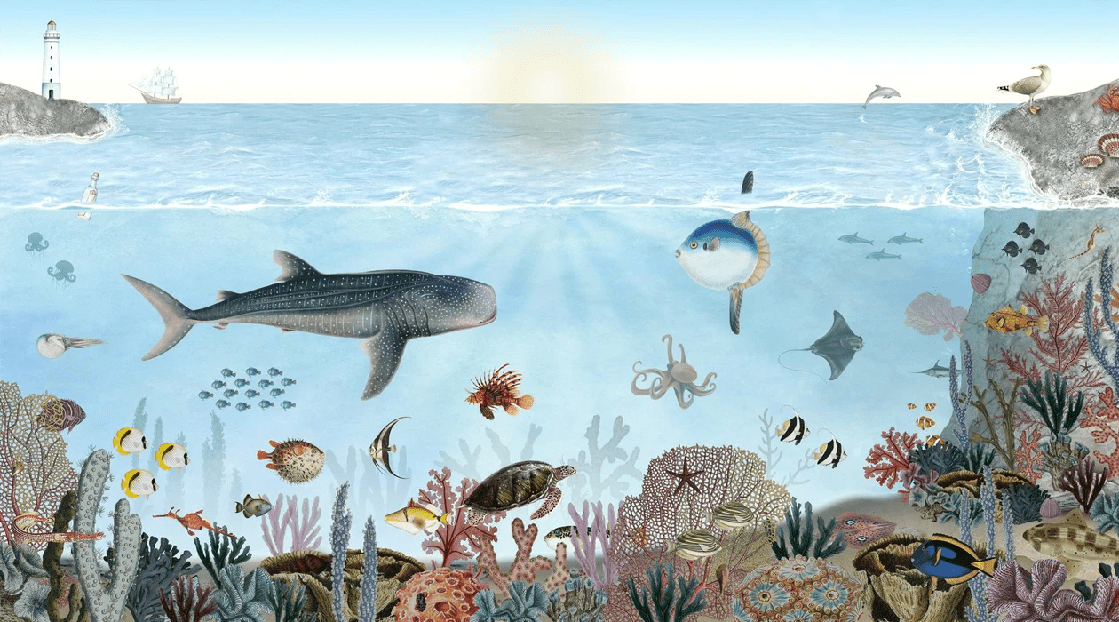 Papier peint animaux marins - Muralconcept