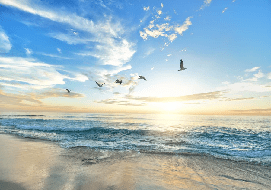 Paradise Beach wallpaper