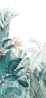 Papier peint panoramique tropical quintessence - Muralconcept