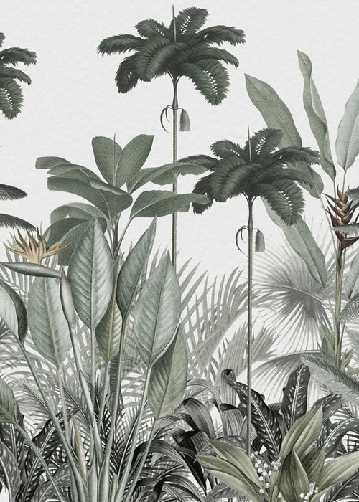 Papier peint panoramique jungle tree - Muralconcept