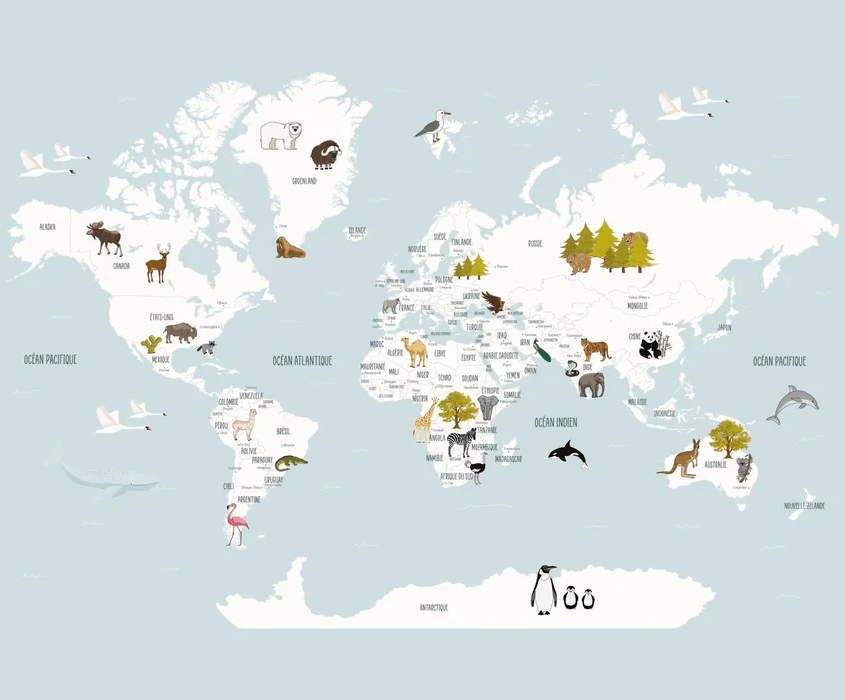 Papier peint Carte du monde en Francais enfant bleu glacier - Muralconcept