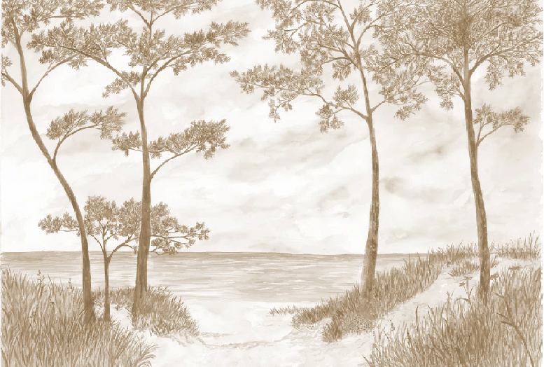 Papier peint Pins maritimes et dunes - Sépia - Muralconcept