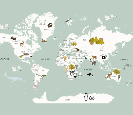 Papier peint Carte du monde en Francais enfant vert - Muralconcept