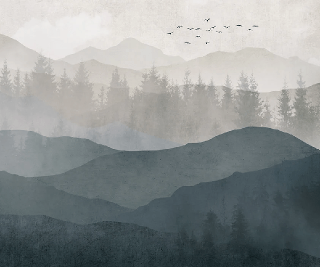 Papier peint panorama nature noir et blanc - Muralconcept