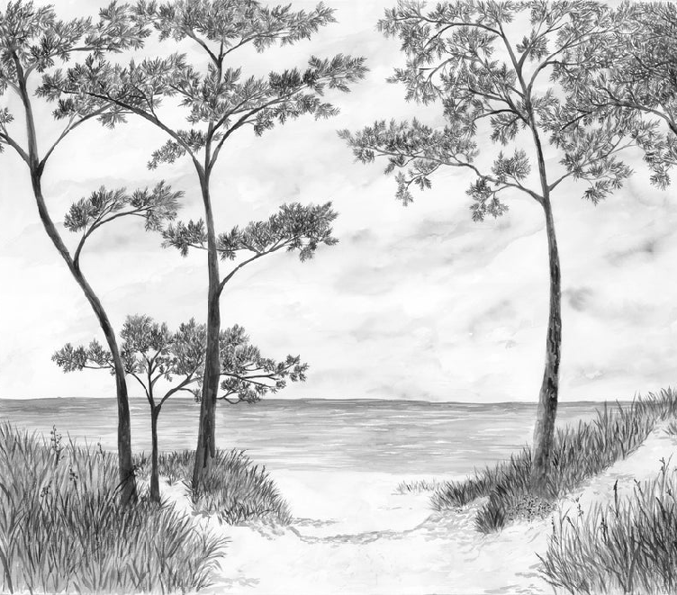 Papier peint Pins maritimes et dunes - Noir et blanc - Muralconcept