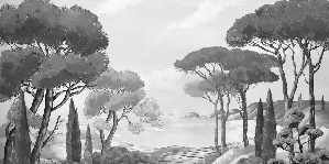 Papier peint balade dans les calanques noir et blanc - Muralconcept