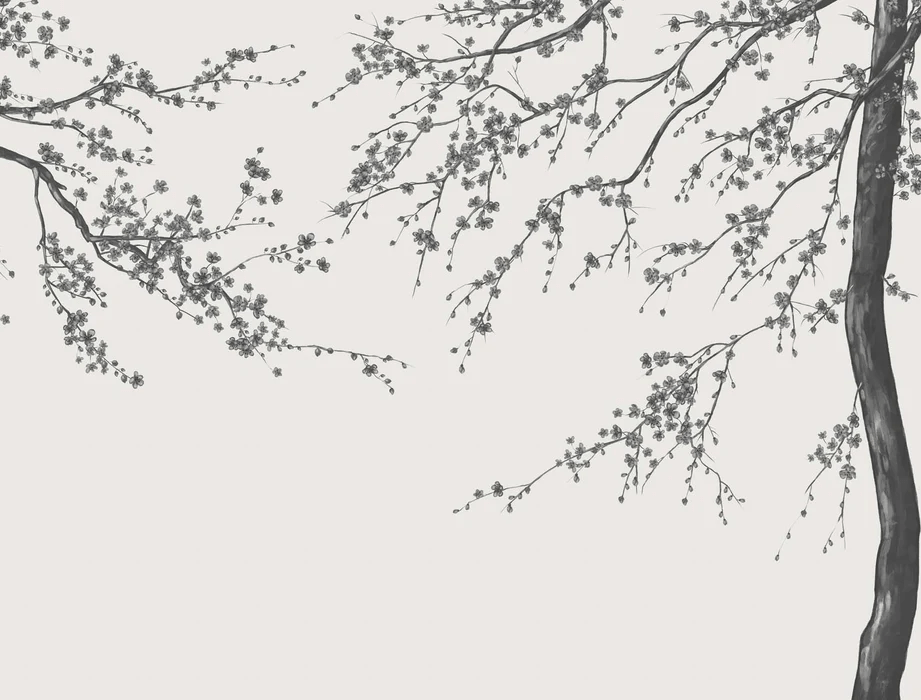 Papier peint panoramique fleur Sakura noir et blanc, XXL, tendance