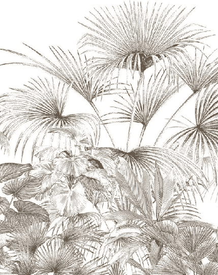 Papier peint tropical gravure monochrome - Muralconcept