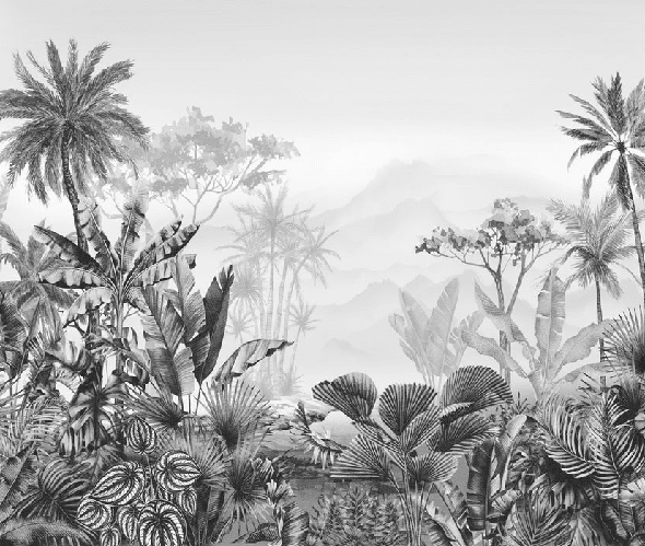 Papier peint tendance tropical noir et blanc - Muralconcept