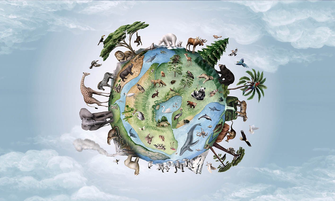 Papier peint enfant planète animaux