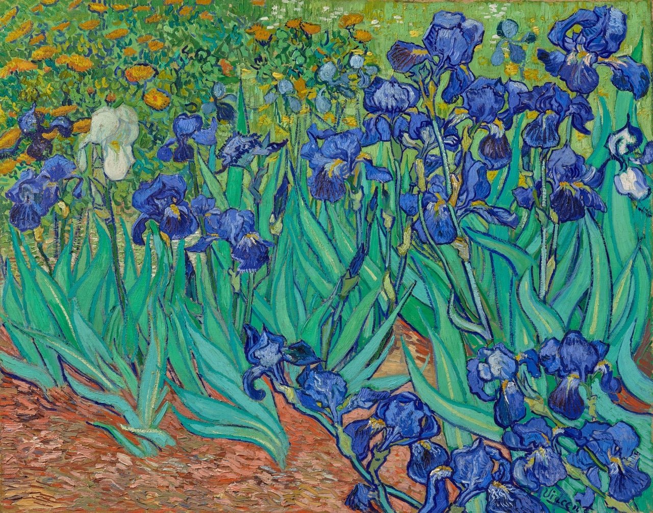 Papier peint fleur Iris, mural concept, tendance