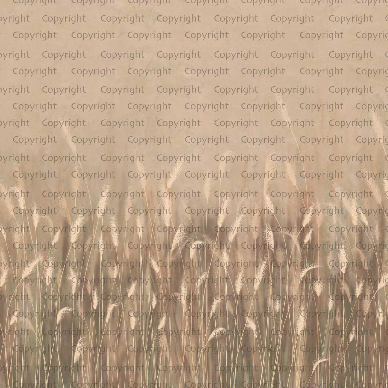 Papier peint panoramique herbes sauvages beige