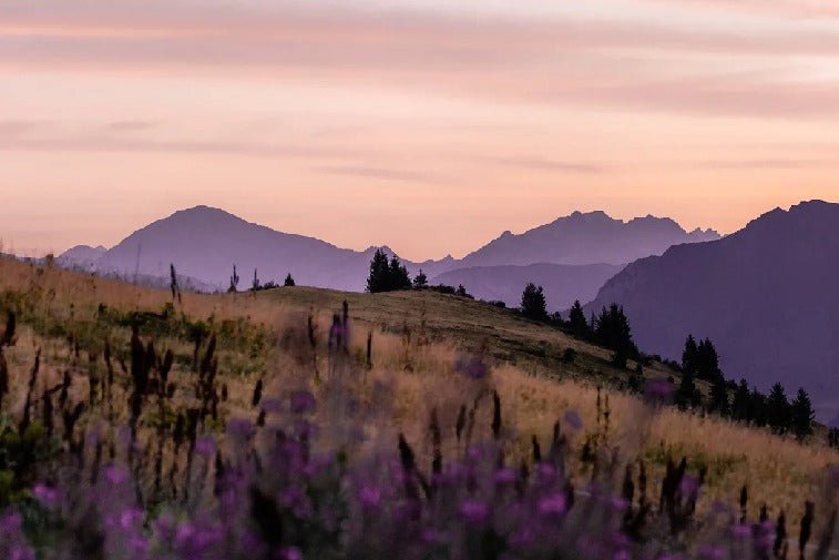 Papier peint restaurant massif du Giffre, mural concept, tendance