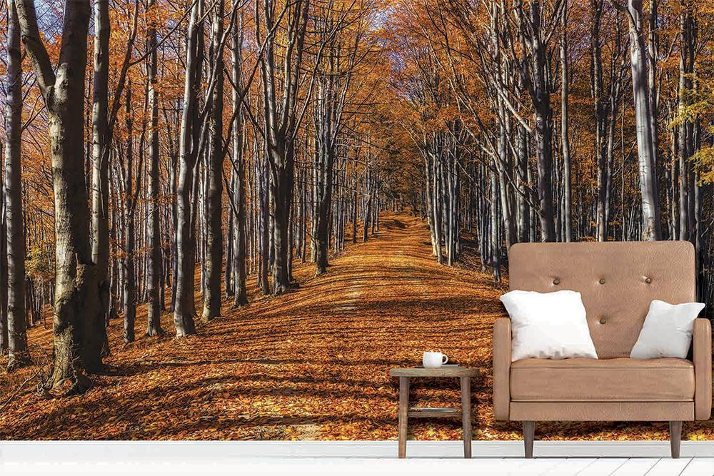 Papier peint panoramique balade d'automne - papier peint sur mesure francais - muralconcept