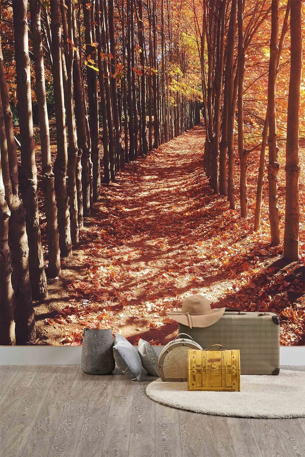 Panoramic autumn path wallpaper