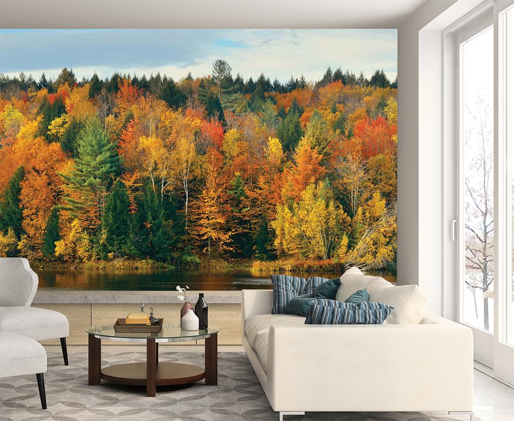 Panoramic wallpaper forest autumn shade