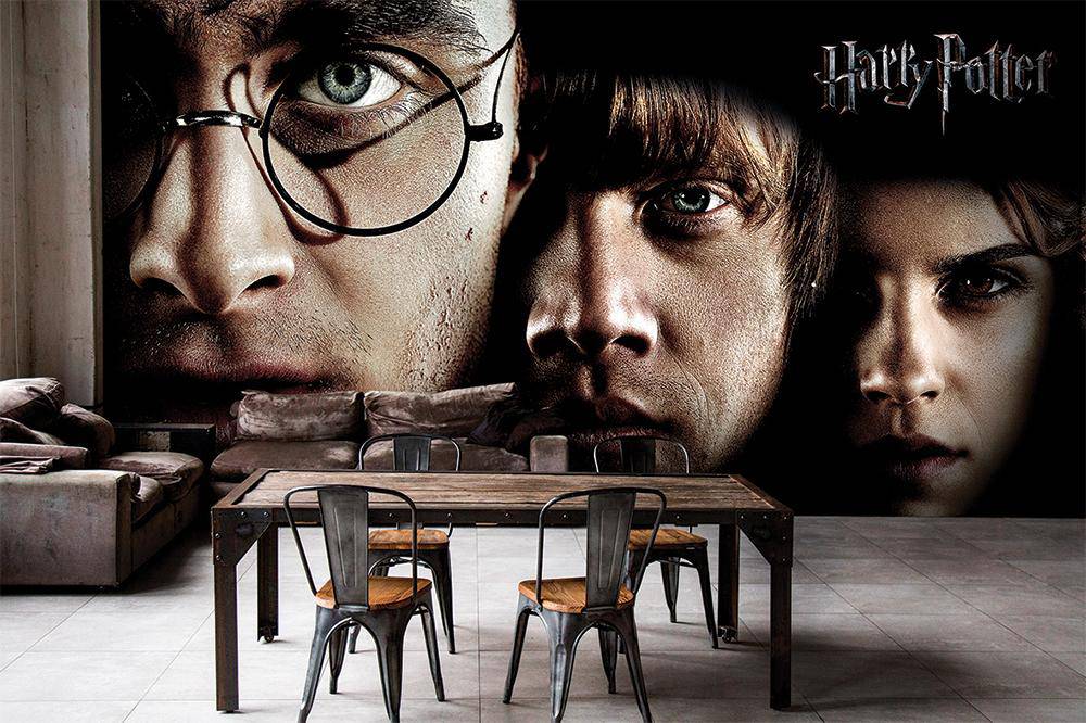 Harry Potter Heroes Panoramic Wallpaper