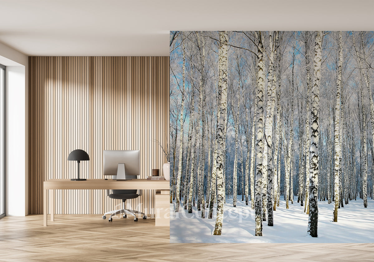 Birch Wood Forest Office Wallpaper