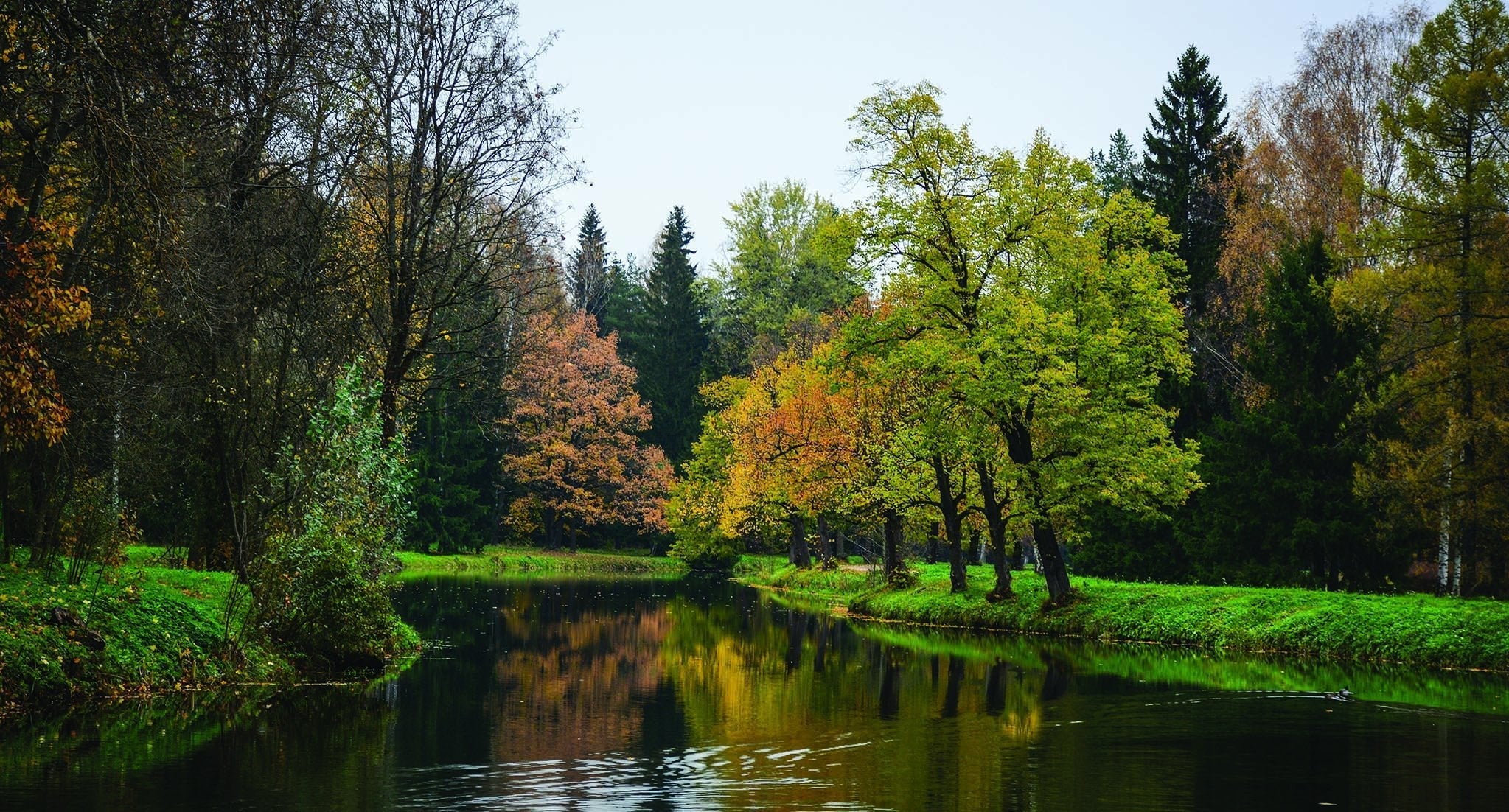 Papier peint panoramique lac et forêt - papier peint sur mesure francais - muralconcept